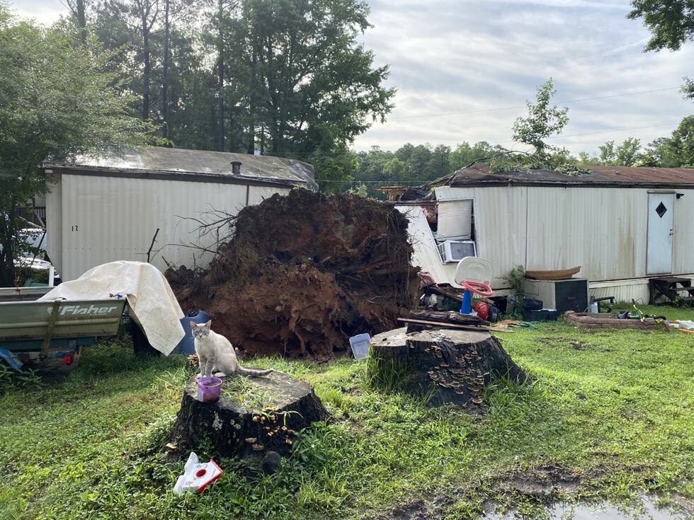 Tuscaloosa, Tree falls on mobile home killing man and child