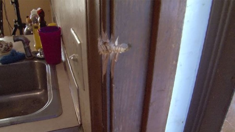 Multiple shots ripped through Osborn's red Mustang and a few more in the kitchen in her home....