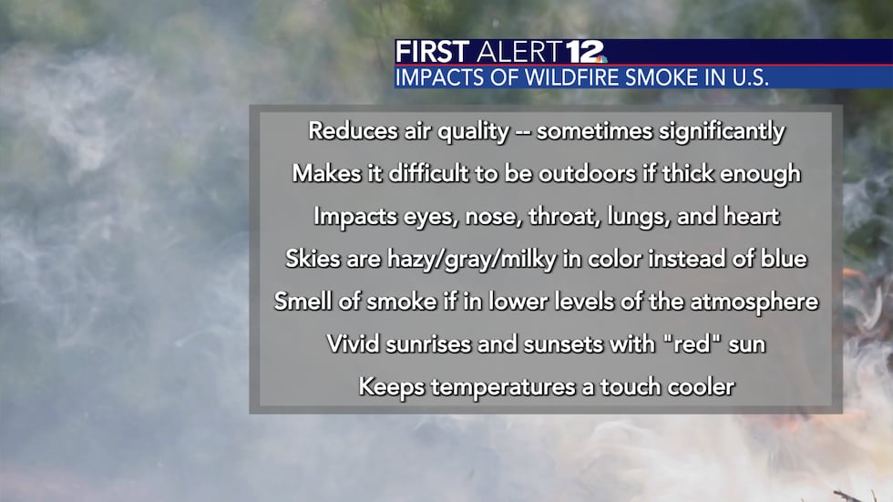 Smoke from wildfires can have many impacts, including on the human body.