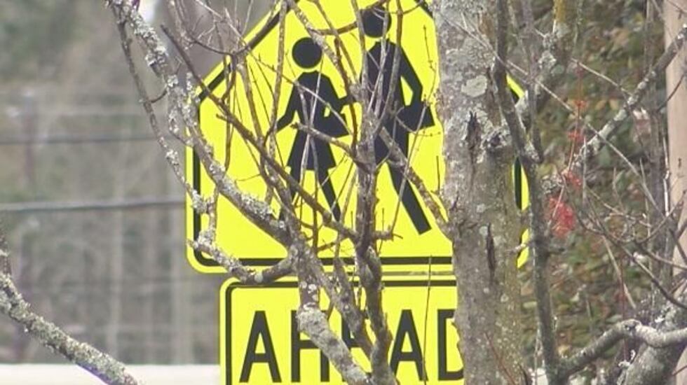 Dothan city leaders are moving forward with plans to create safer schools in the city....