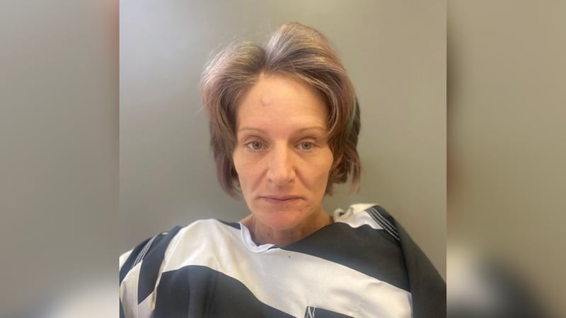 Police said Jennifer Long, 41, was charged in the stabbing death of her 8-year-old son.