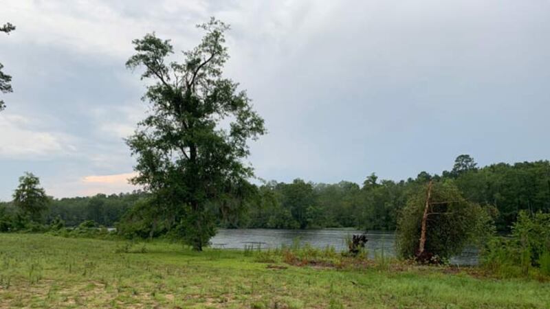 A bolt of lightning struck this tree, splitting it at the top, at approximately 2 p.m. One man...