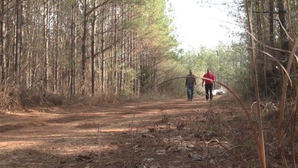 8 Best Places to Spot Bigfoot In The U.S.