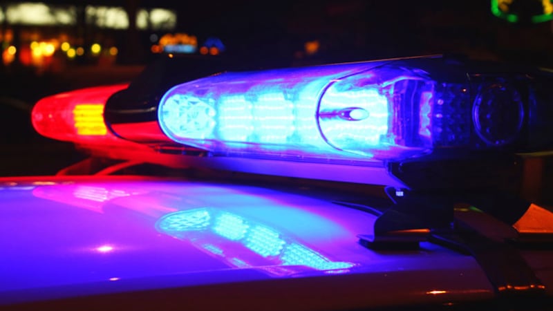 FILE - The driver was turning around at a home near the end of a dead-end street in Lake...