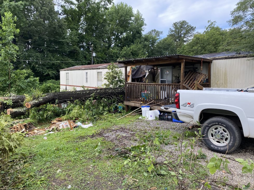 Tuscaloosa, Tree falls on mobile home killing man and child