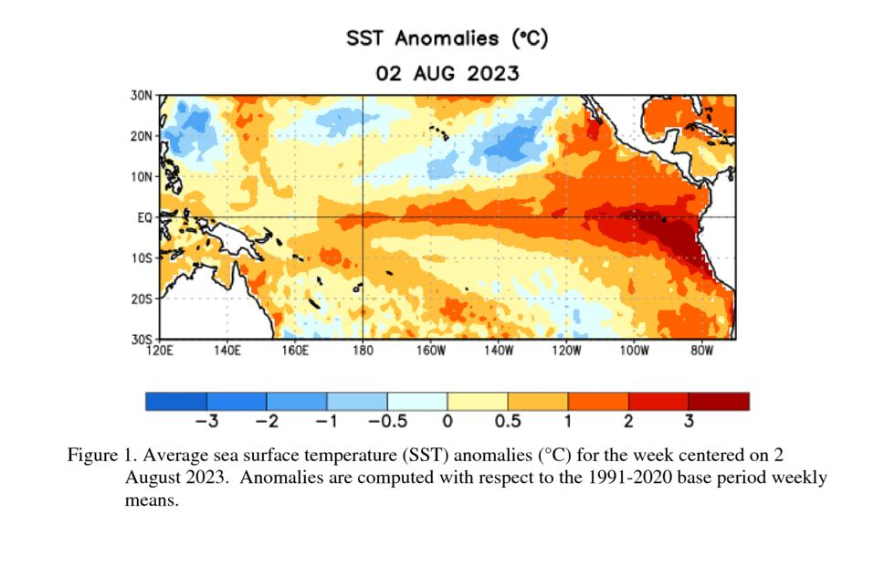 Sea surface temperature (SST) anomalies in the equatorial Pacific.