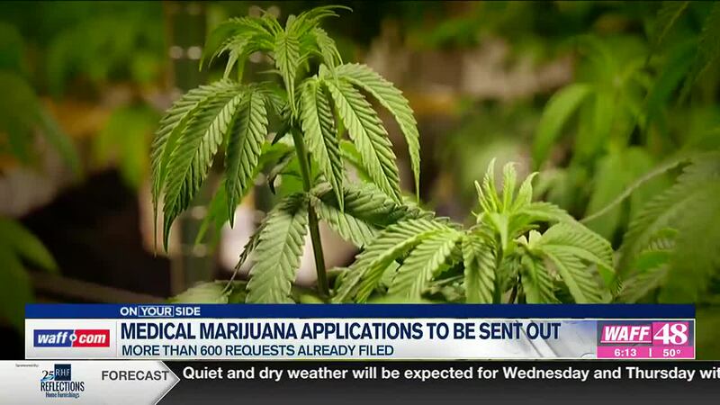 More than 600 medical marijuana requests already filed in Alabama