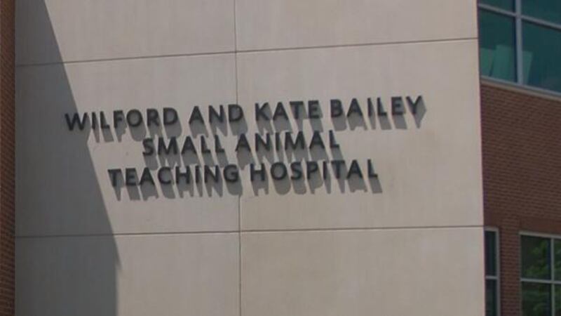 The Auburn University Veterinary Teaching Hospital has been ranked No. 1 in the nation,...