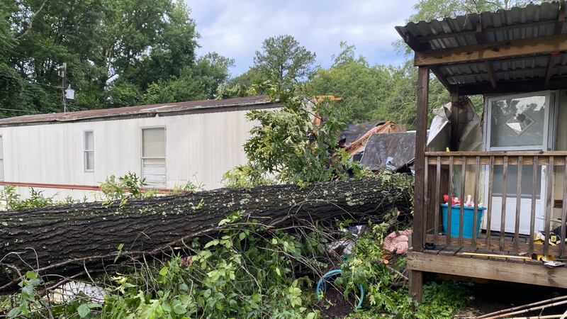 Tree falls on mobile home killing man and child