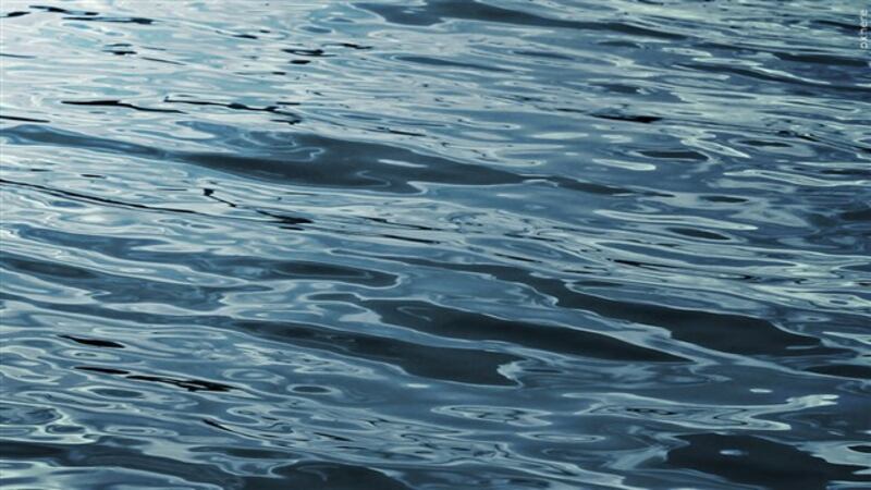 FILE - At a lake in Iowa, Alexander Glover tried to swim back to the boat but got tired and...