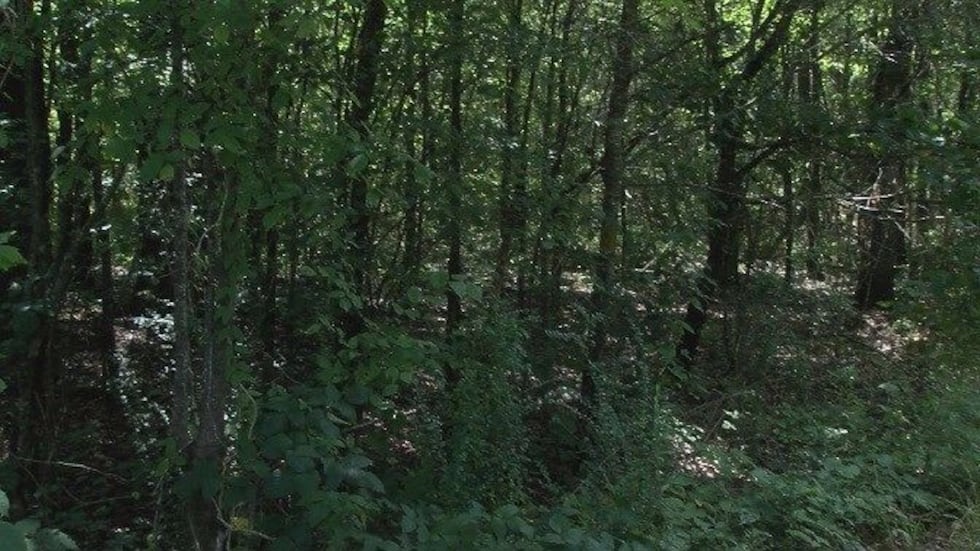 (Source: WSFA 12 News)