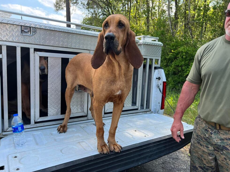 Missing Coffee County inmate captured in Walton County