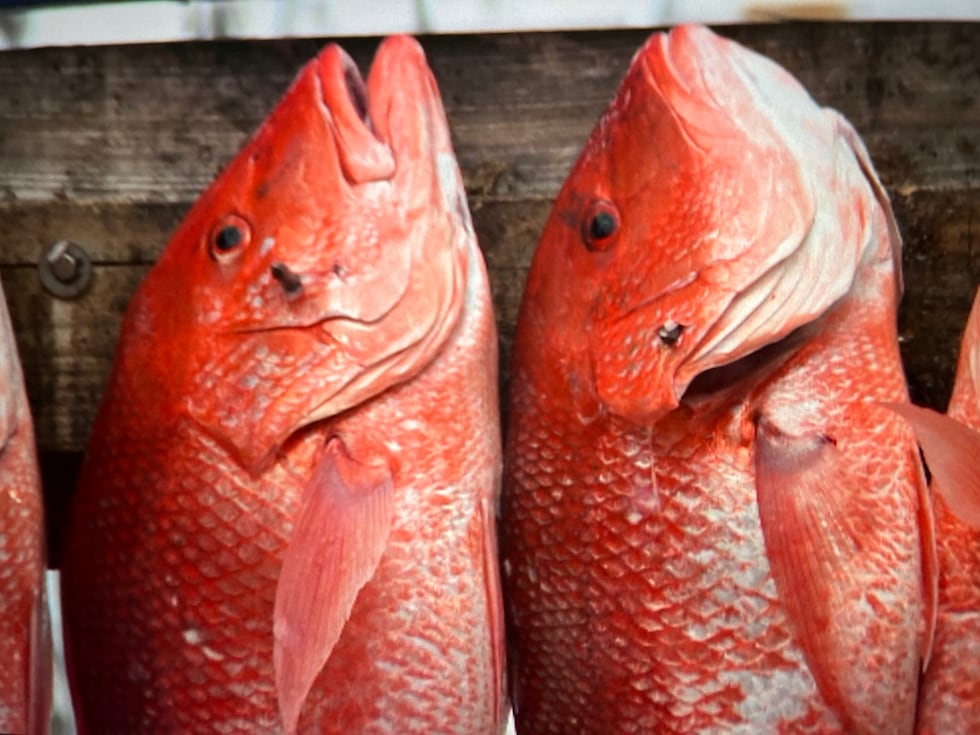 For-hire boats allocated 17 additional days to fish in 2022